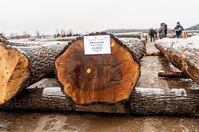 © Georg Pomassl/LK Niederösterreich