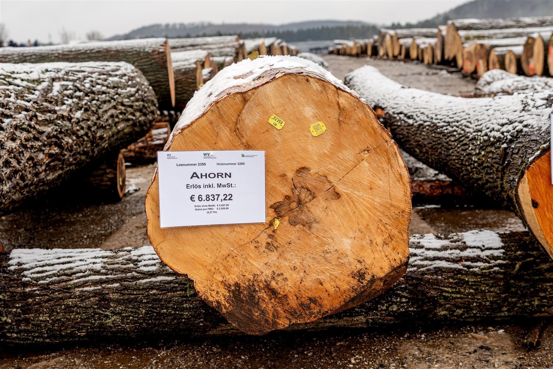 © Georg Pomassl/LK Niederösterreich