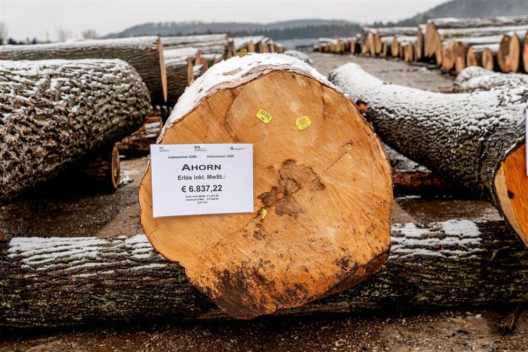 © Georg Pomassl/LK Niederösterreich