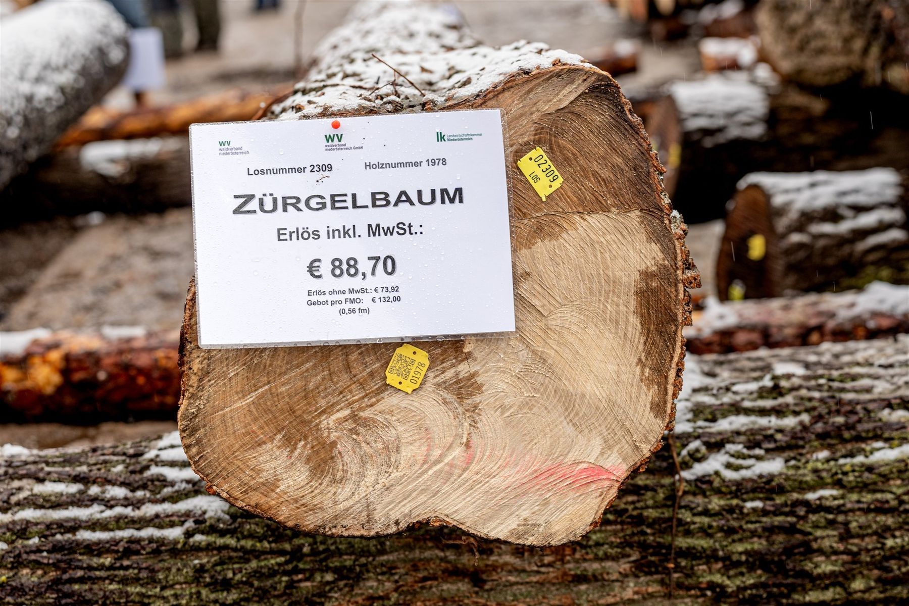 © Georg Pomassl/LK Niederösterreich