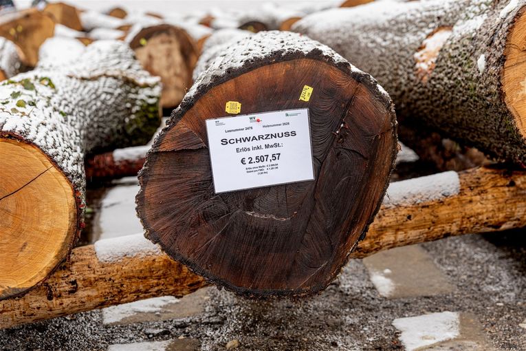 © Georg Pomassl/LK Niederösterreich