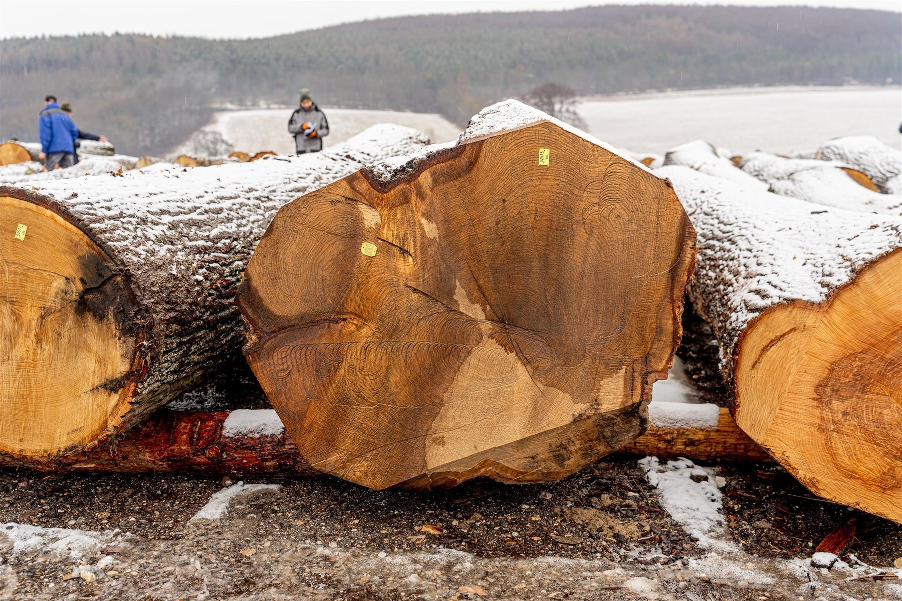 © Georg Pomassl/LK Niederösterreich