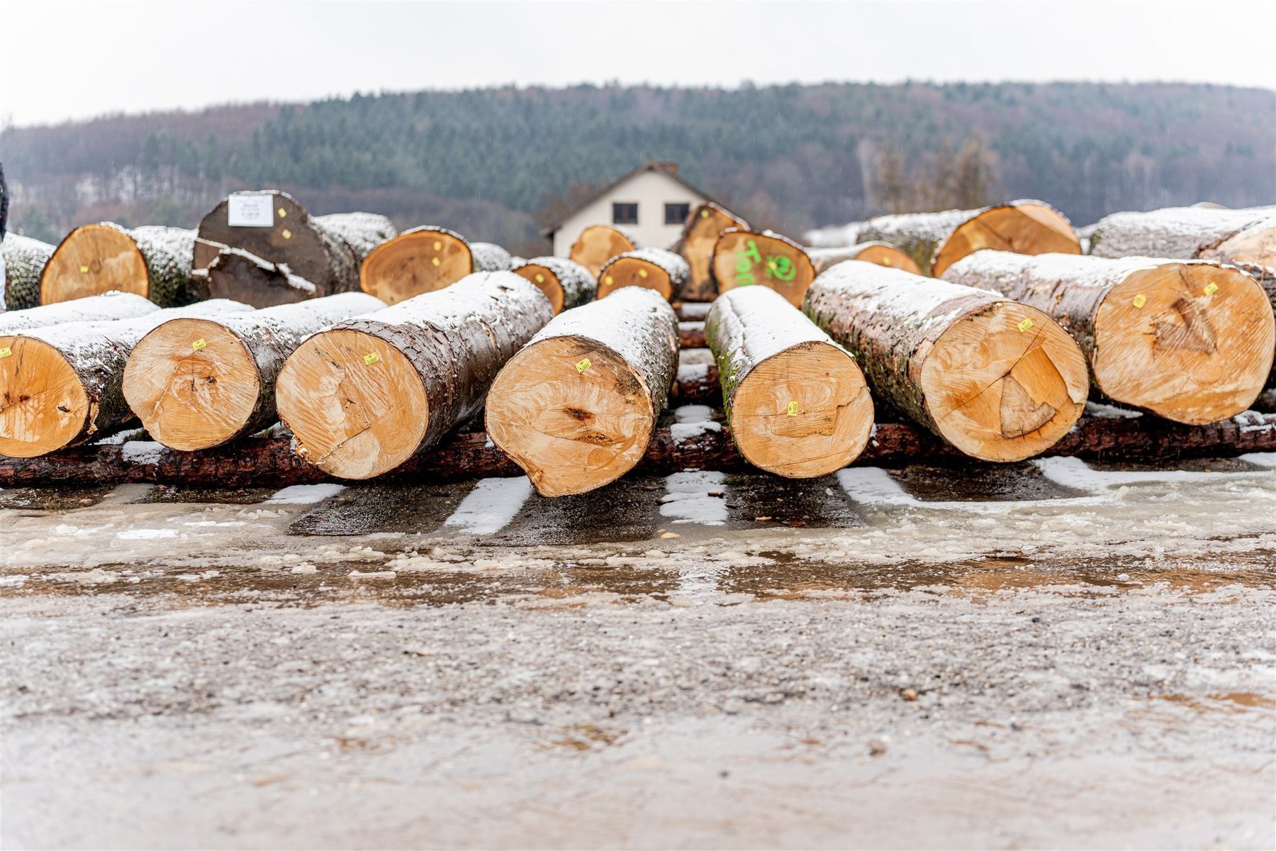 © Georg Pomassl/LK Niederösterreich