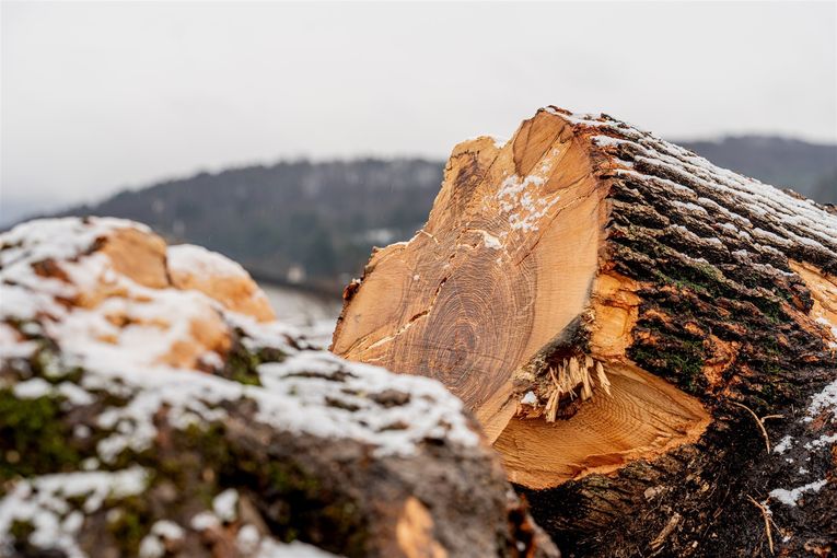 © Georg Pomassl/LK Niederösterreich