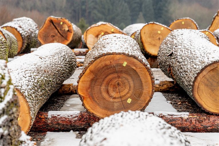 © Georg Pomassl/LK Niederösterreich