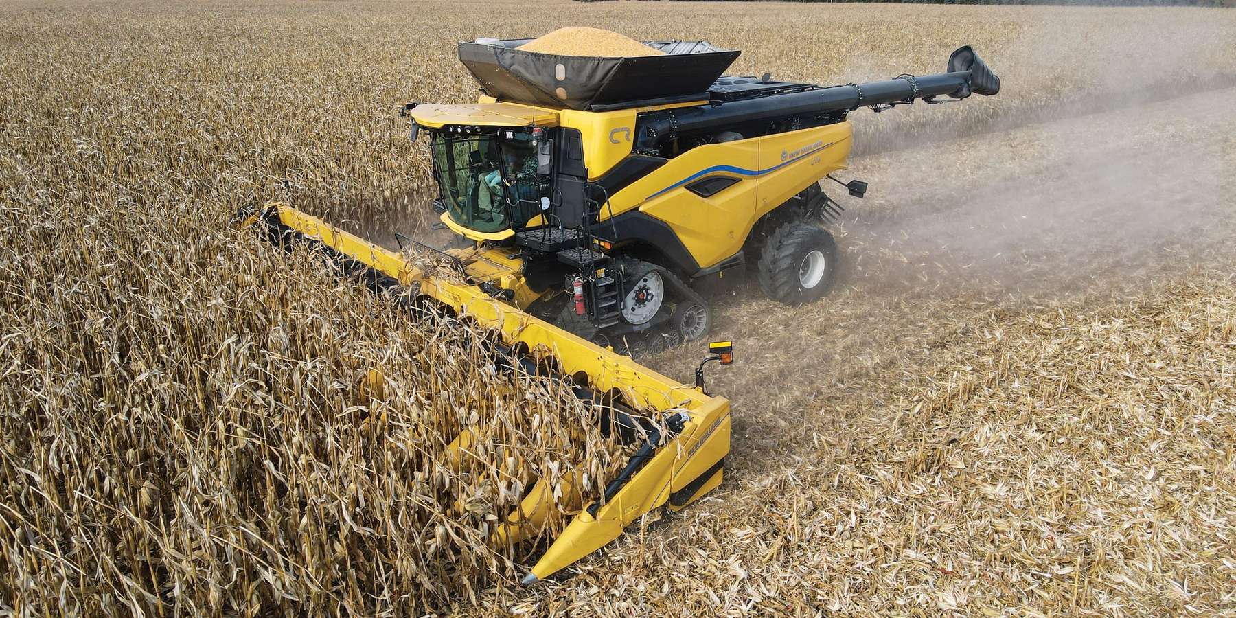 Maisernte © New Holland