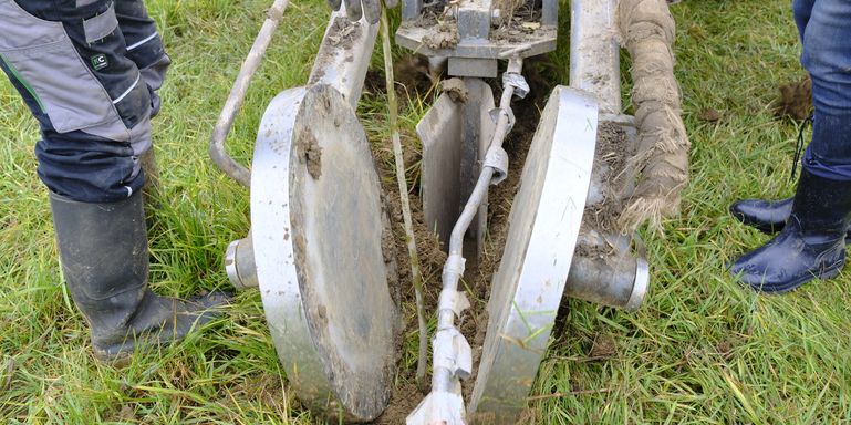 Vielfalt am Ackerrand © LK Steiermark