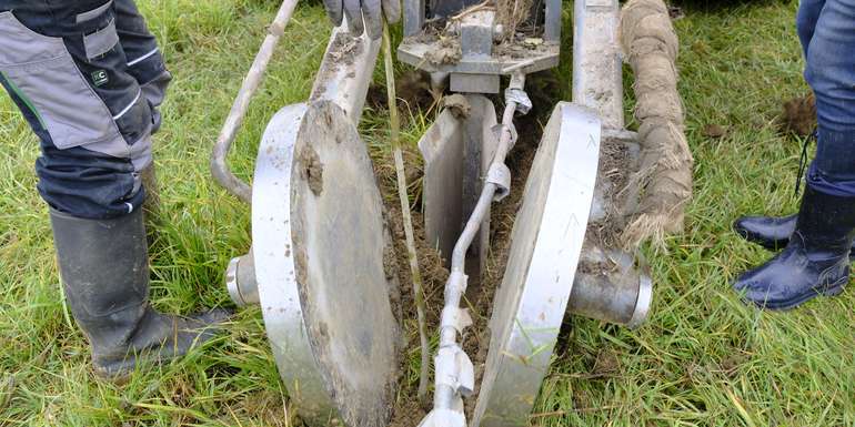 Vielfalt am Ackerrand © LK Steiermark