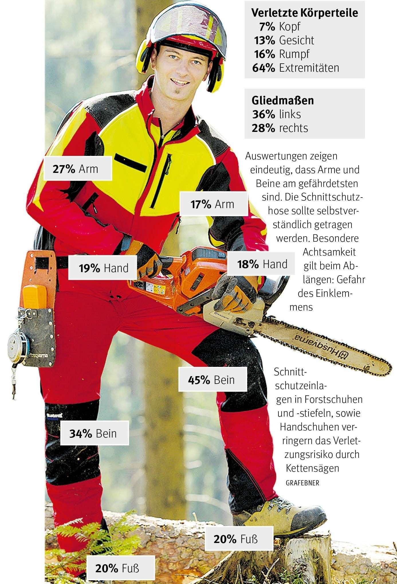 Sichere Waldarbeit © Grafebner