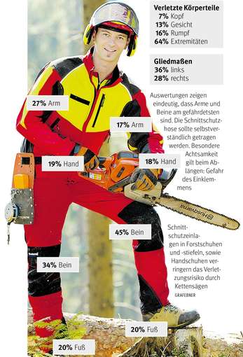 Sichere Waldarbeit © Grafebner