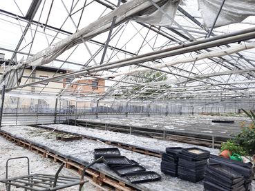 AT_Glashaus_Hagel_.jpg © (c) Hagelversicherung