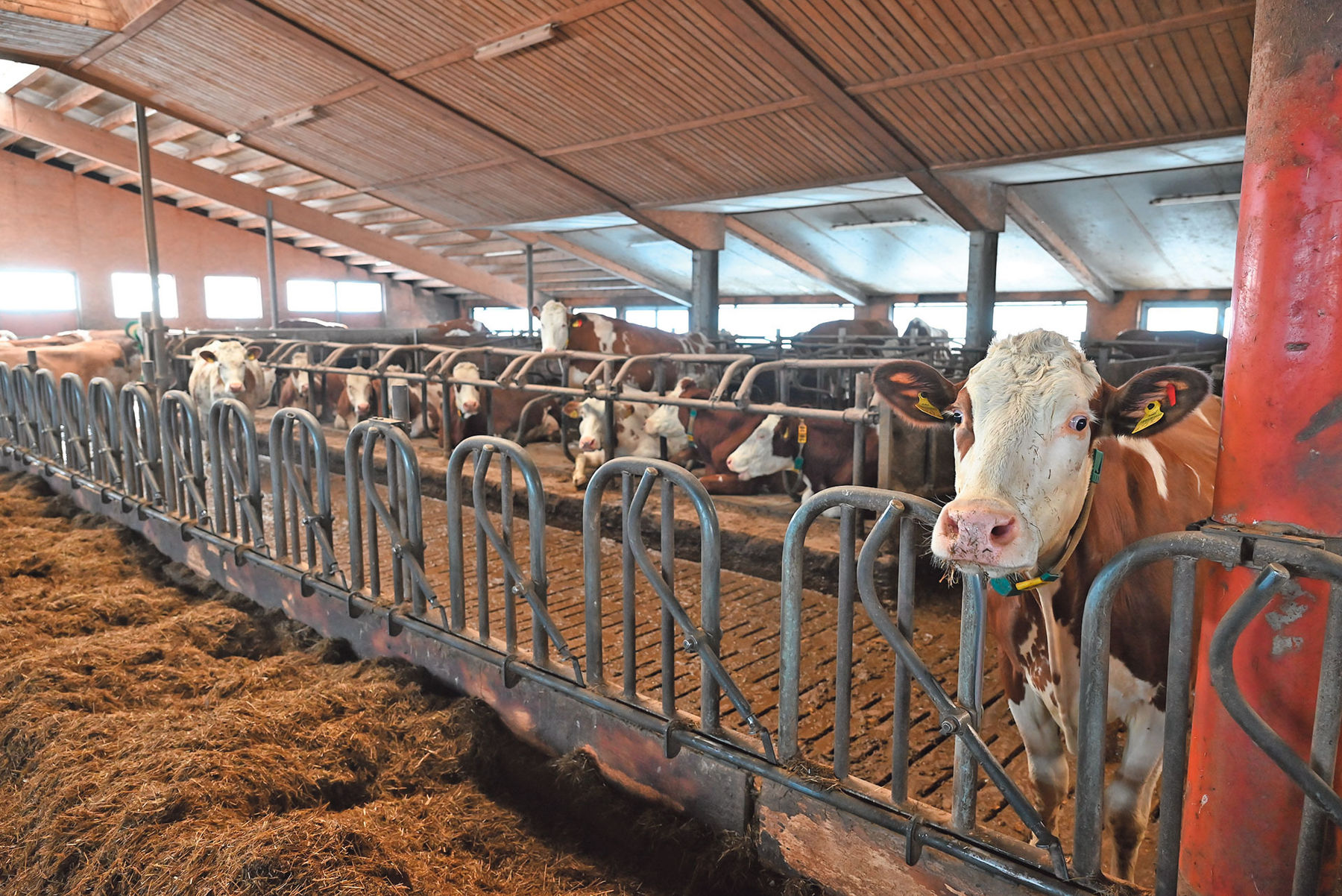 Erlachhof.jpg © Mooslechner