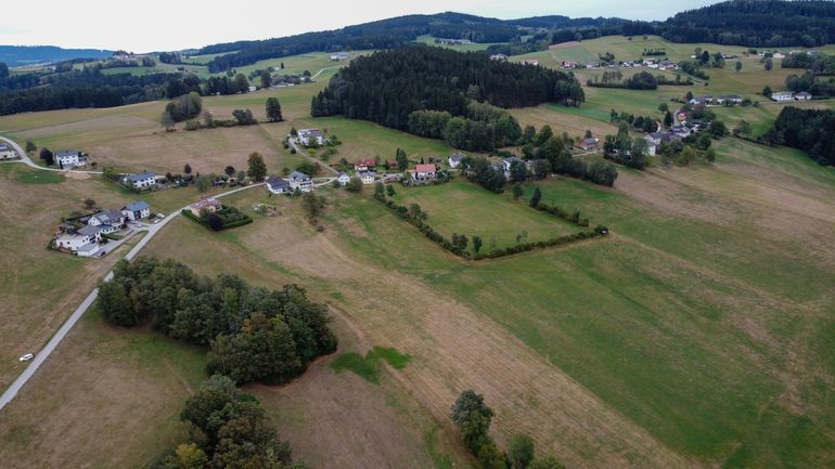 Engerlingschäden 2025.jpg © Martin Gaisbauer