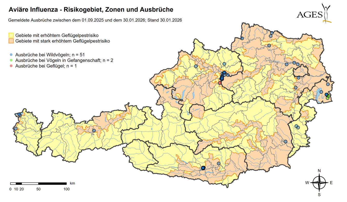 Geflügelpest Ausbrüche (Stand: 30.1.2026) © AGES