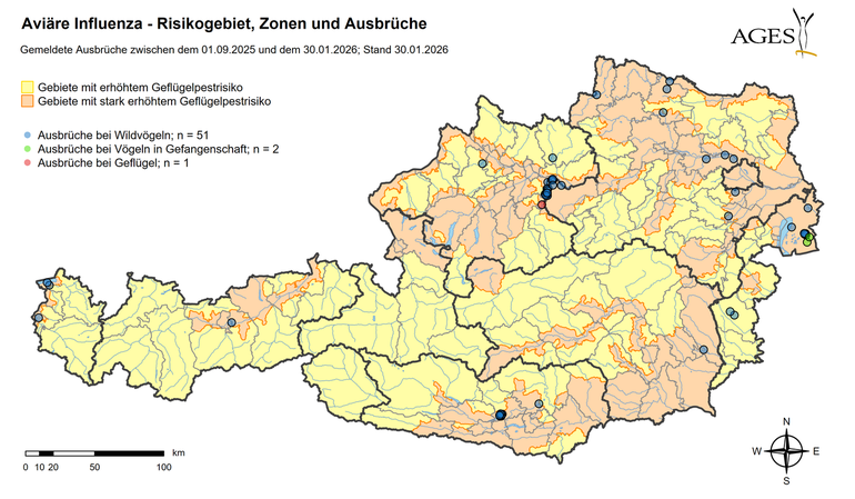Geflügelpest Ausbrüche (Stand: 30.1.2026) © AGES