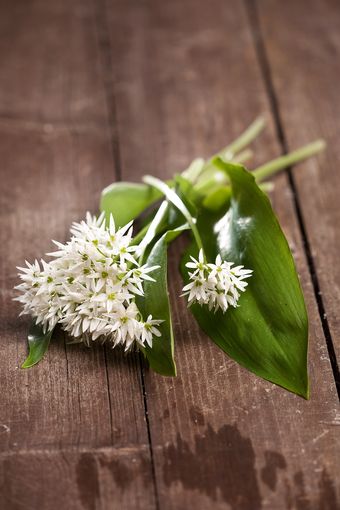 DSC_14569.jpg © Fotos aus den Büchern von Elisabeth Mayer