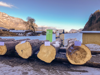 Baumstämme aus Tirol und Vorarlberg © Klaus Viertler