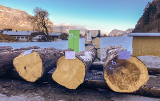 Baumstämme aus Tirol und Vorarlberg © Klaus Viertler