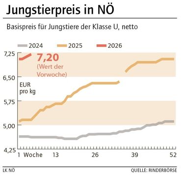 Grafik Stierpreis 06_2026.jpg © LK NÖ