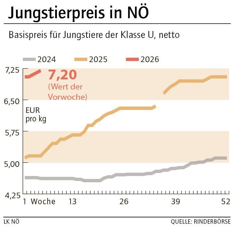 Grafik Stierpreis 06_2026.jpg © LK NÖ