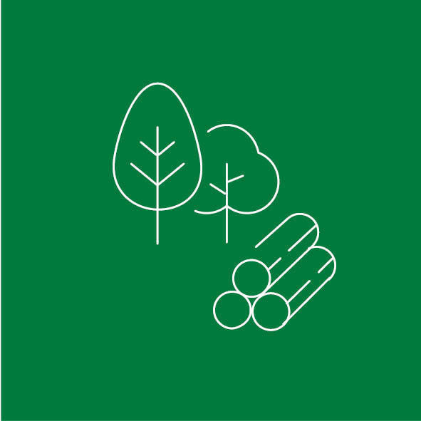 Forstwirtschaft.jpg © Archiv