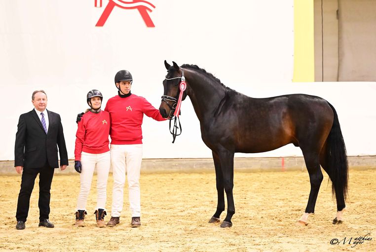 AWÖ Hengsttage 2026 © Matthias Mayer