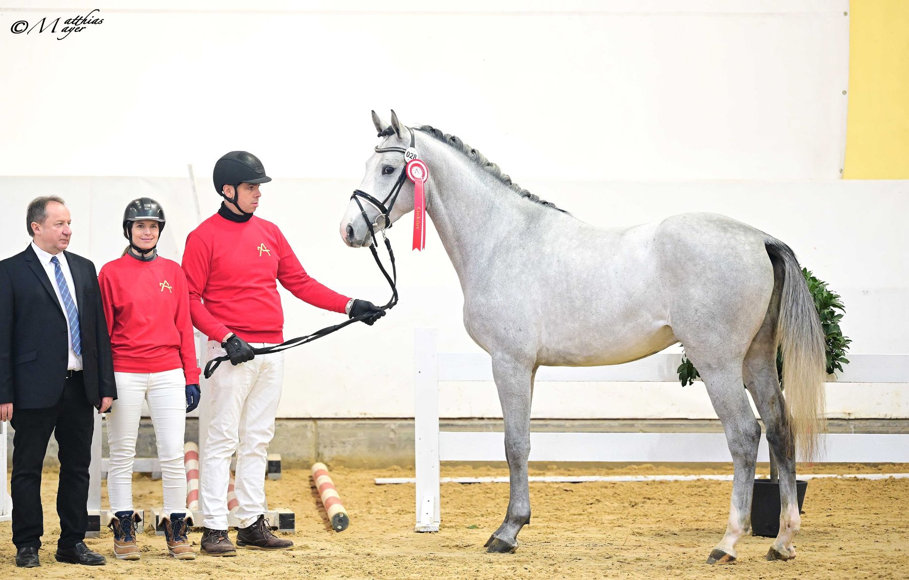 AWÖ Hengsttage 2026 © Matthias Mayer