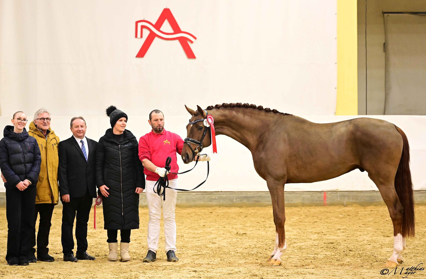 AWÖ Hengsttage 2026 © Matthias Mayer