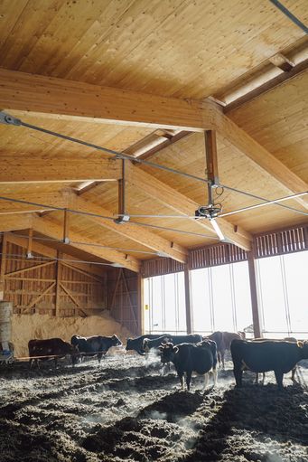 Low-Input : Wirtschaften aus den eigenen Stärken.jpg © Etter