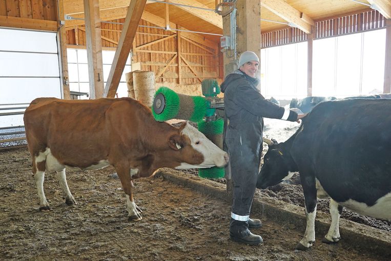 Stiegerhof.jpg © Etter