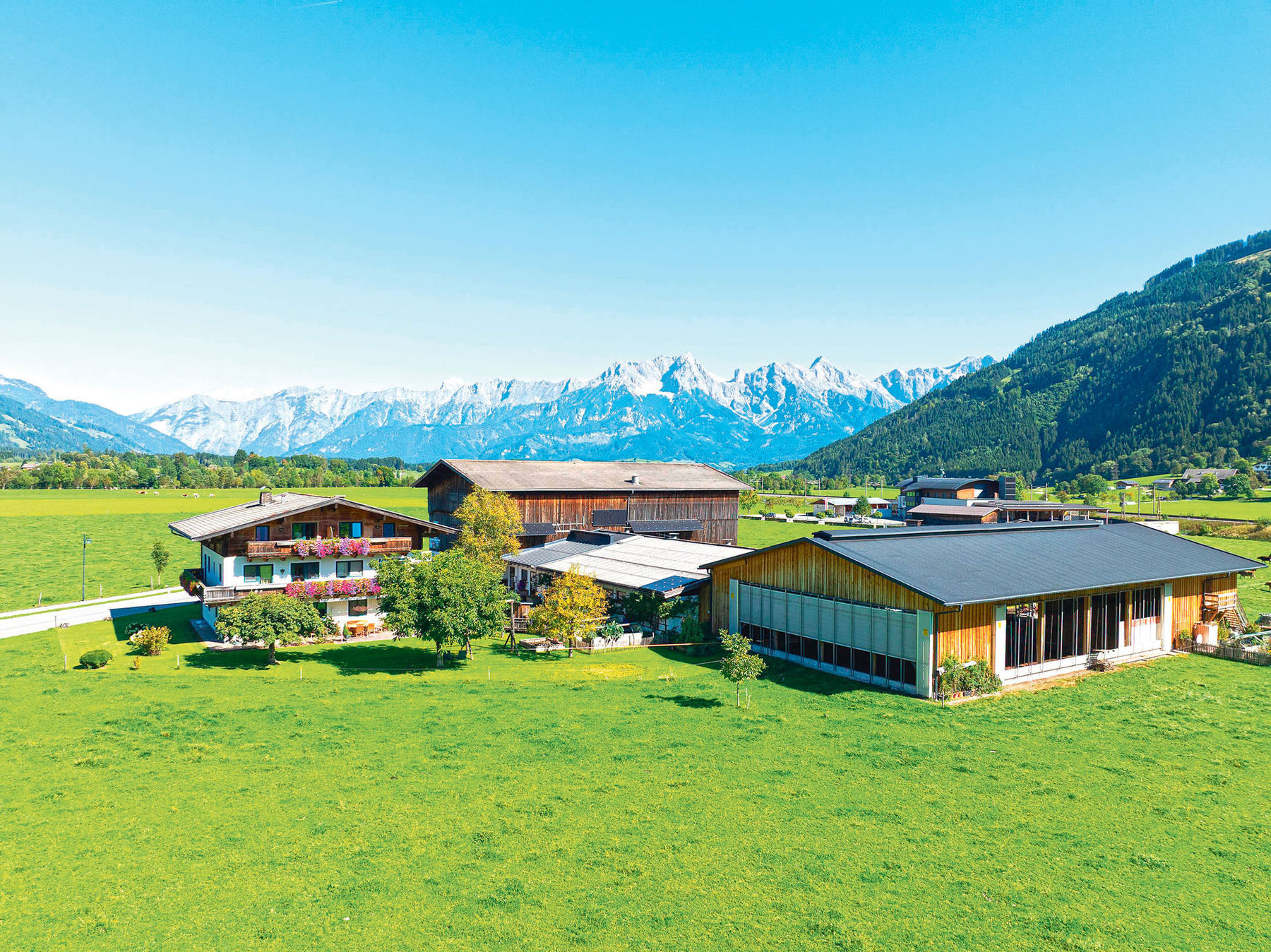 Stiegerhof.jpg © Archiv