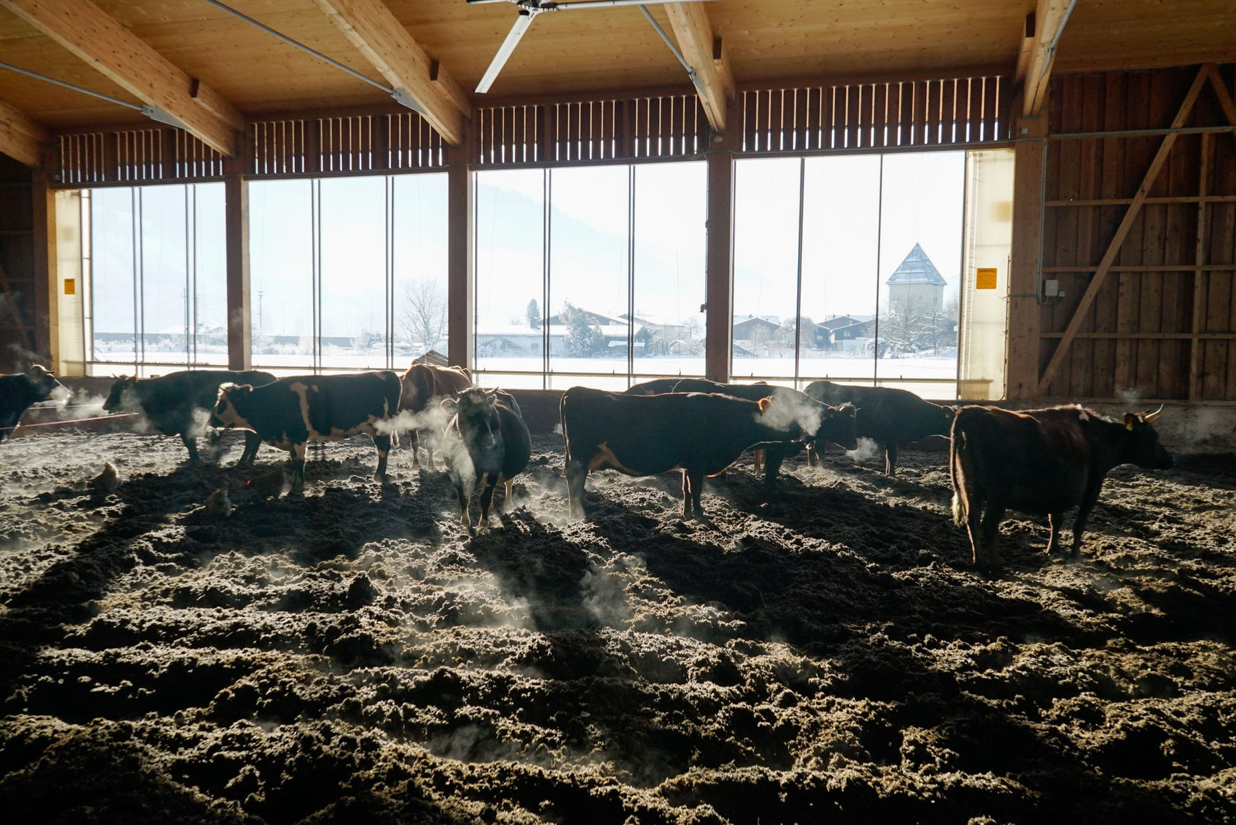 Stiegerhof.jpg © Archiv