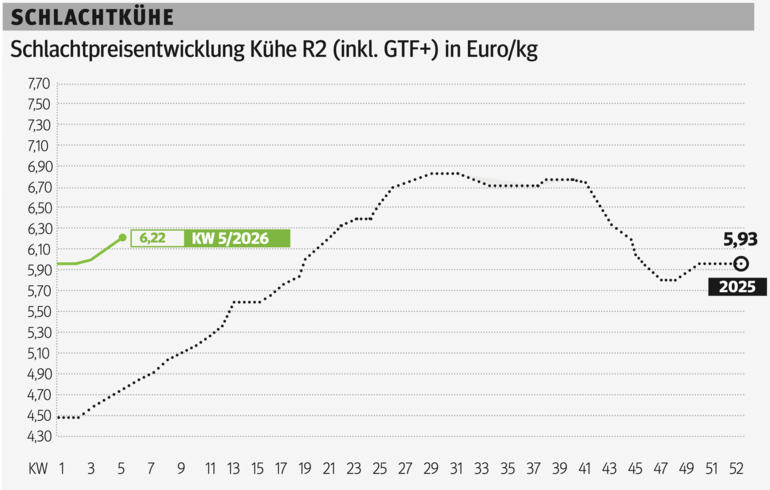 Schlachtkuhgrafik KW 5.png © Grafik RZV