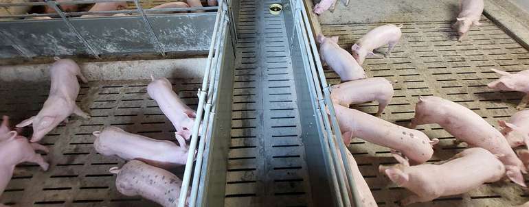 Projekt IBeSt.jpg © Archiv