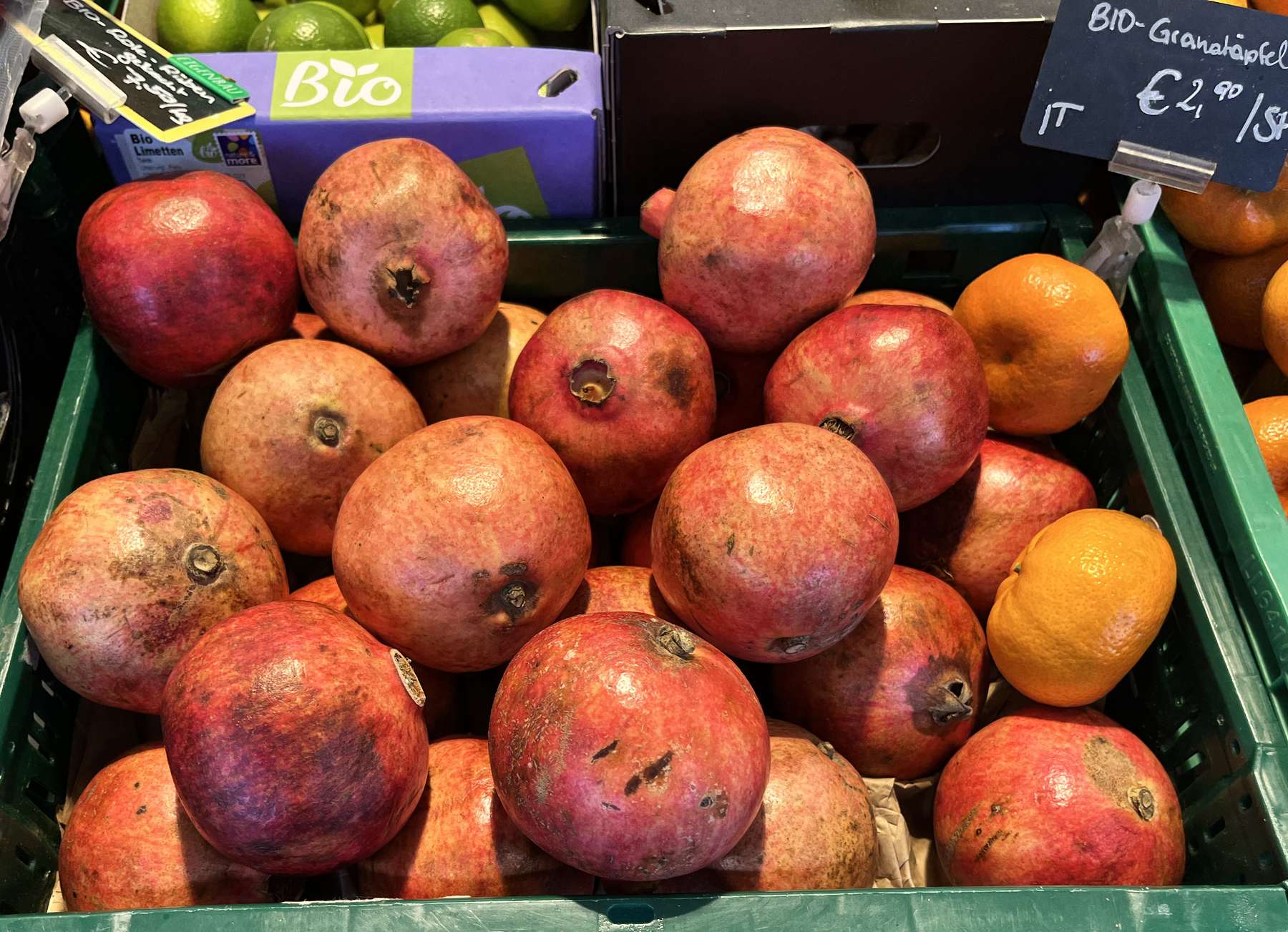 sb06_mt_granat.jpg © Dürnberger