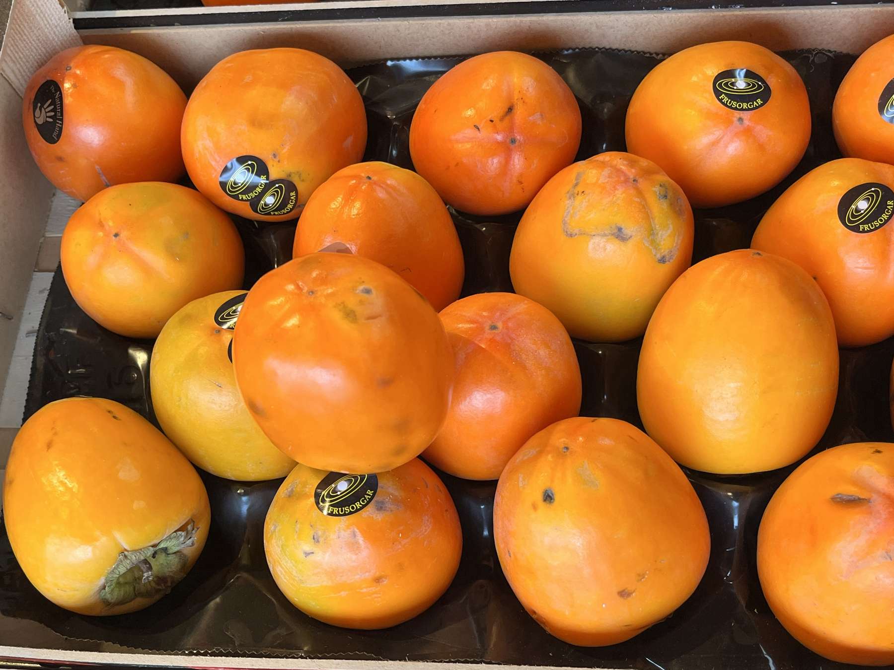 sb06_mt_kaki.jpg © Dürnberger