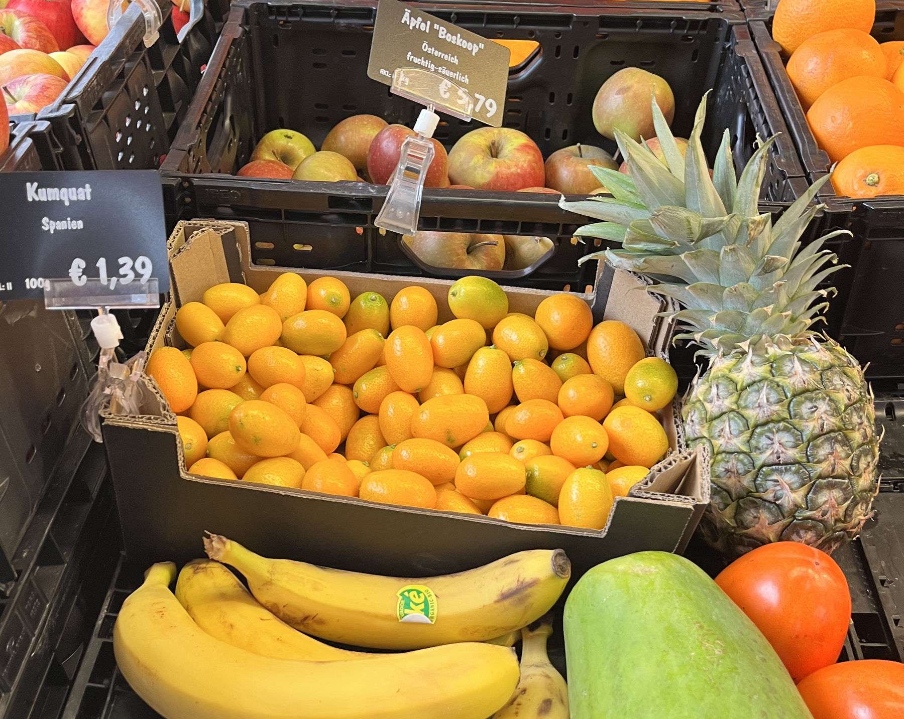 sb06_mt_kumkat.jpg © Dürnberger