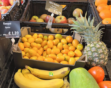 sb06_mt_kumkat.jpg © Dürnberger