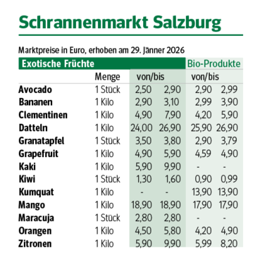 Bildschirmfoto 2026-02-04 um 13.57.31.png © Dürnberger