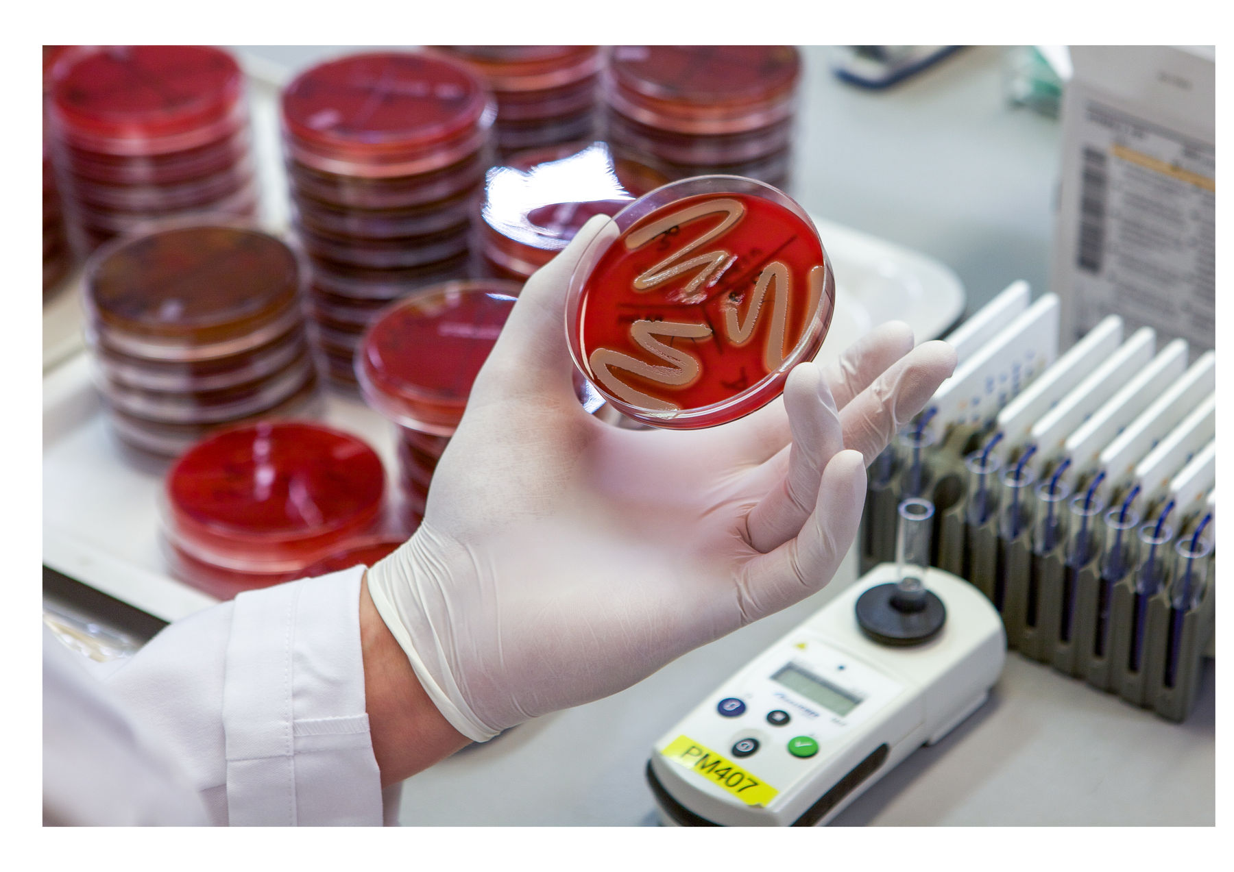 230531LaborRied014.jpg © OÖ TGD