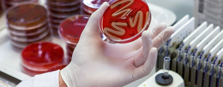 230531LaborRied014 © OÖ TGD