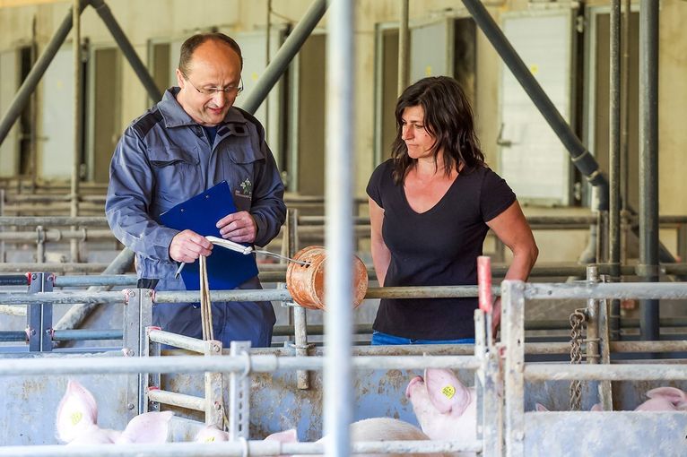 Bild 2.jpg © OÖ TGD