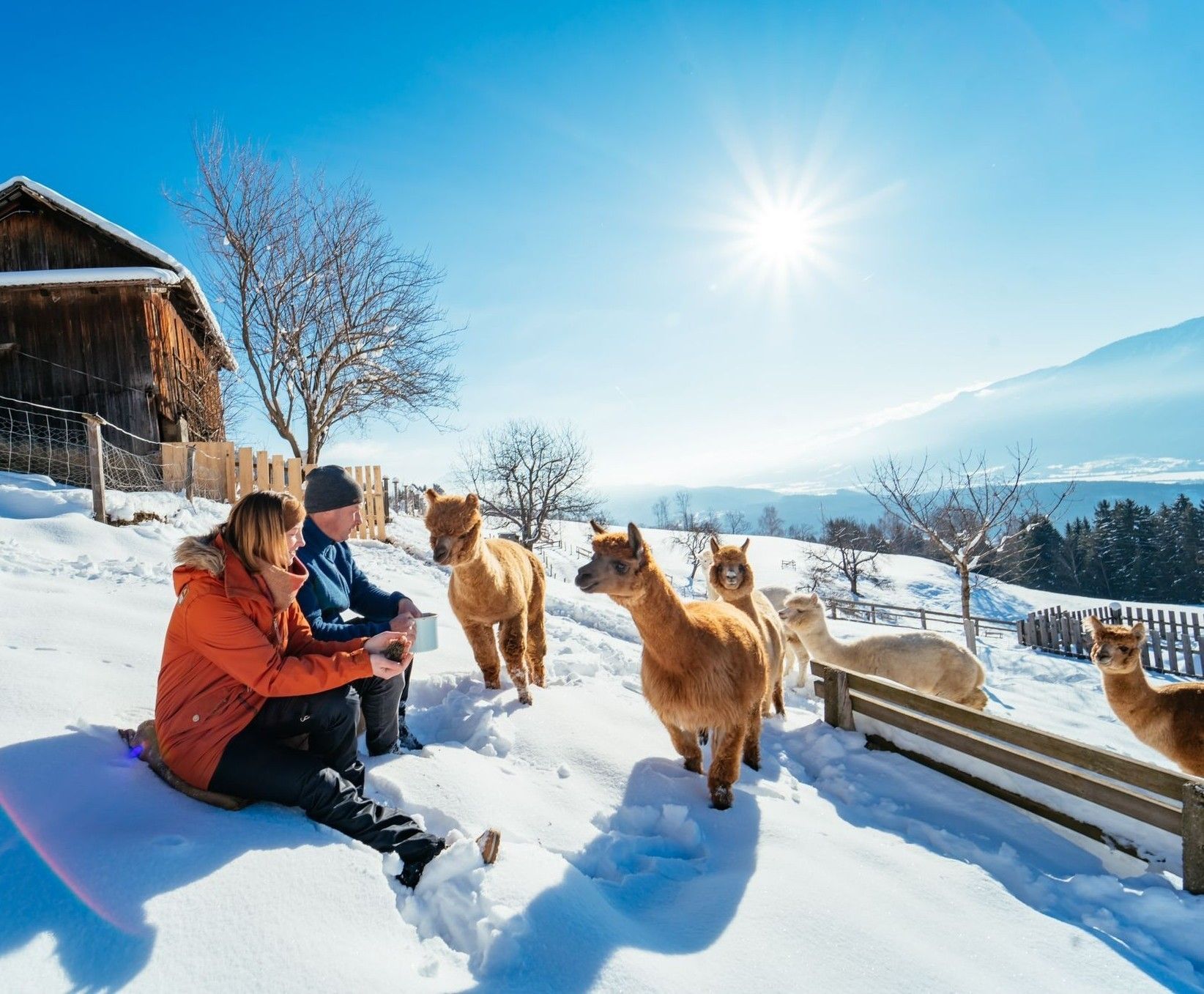 Winterfoto 1.jpg © Stauder