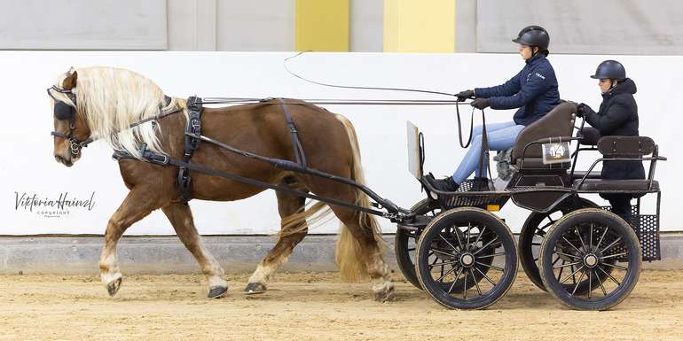 Zeo Schaunitz XVIII © Victoria Hainzl