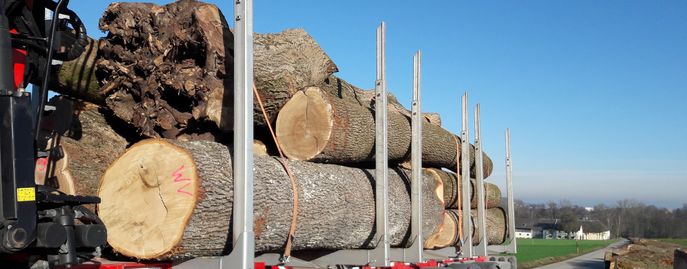 Holzmarkt © Christian Rottensteiner, LK OÖ