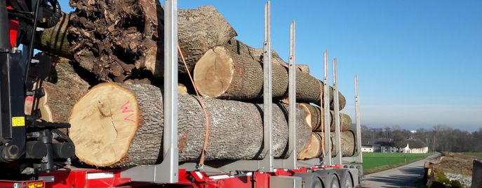 Holzmarkt © Christian Rottensteiner, LK OÖ