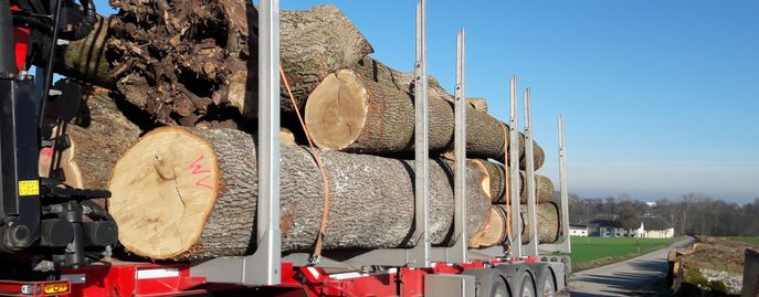 Holzmarkt © Christian Rottensteiner, LK OÖ