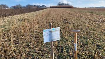 Eindrücke von unserem Zwischenfruchtversuch an der HLBLA St. Florian, 6. Februar 2026