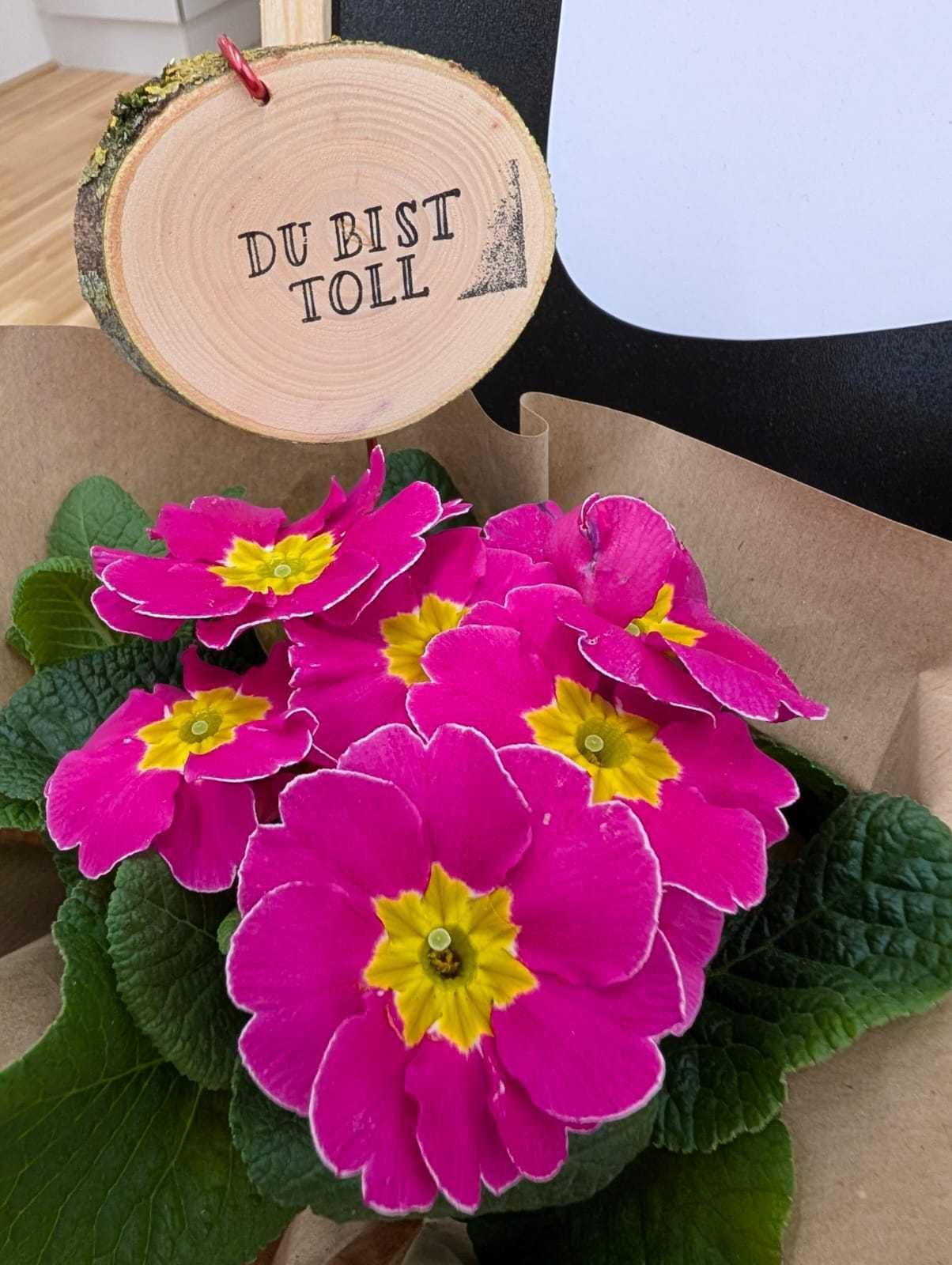 131567.jpg © Die Bäuerinnen_Karin Volpini