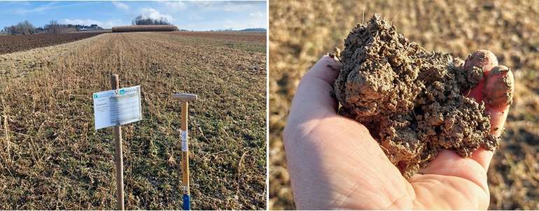 Variante Umwelt+, optimale Bodenstruktur.jpg © BWSB/Wallner